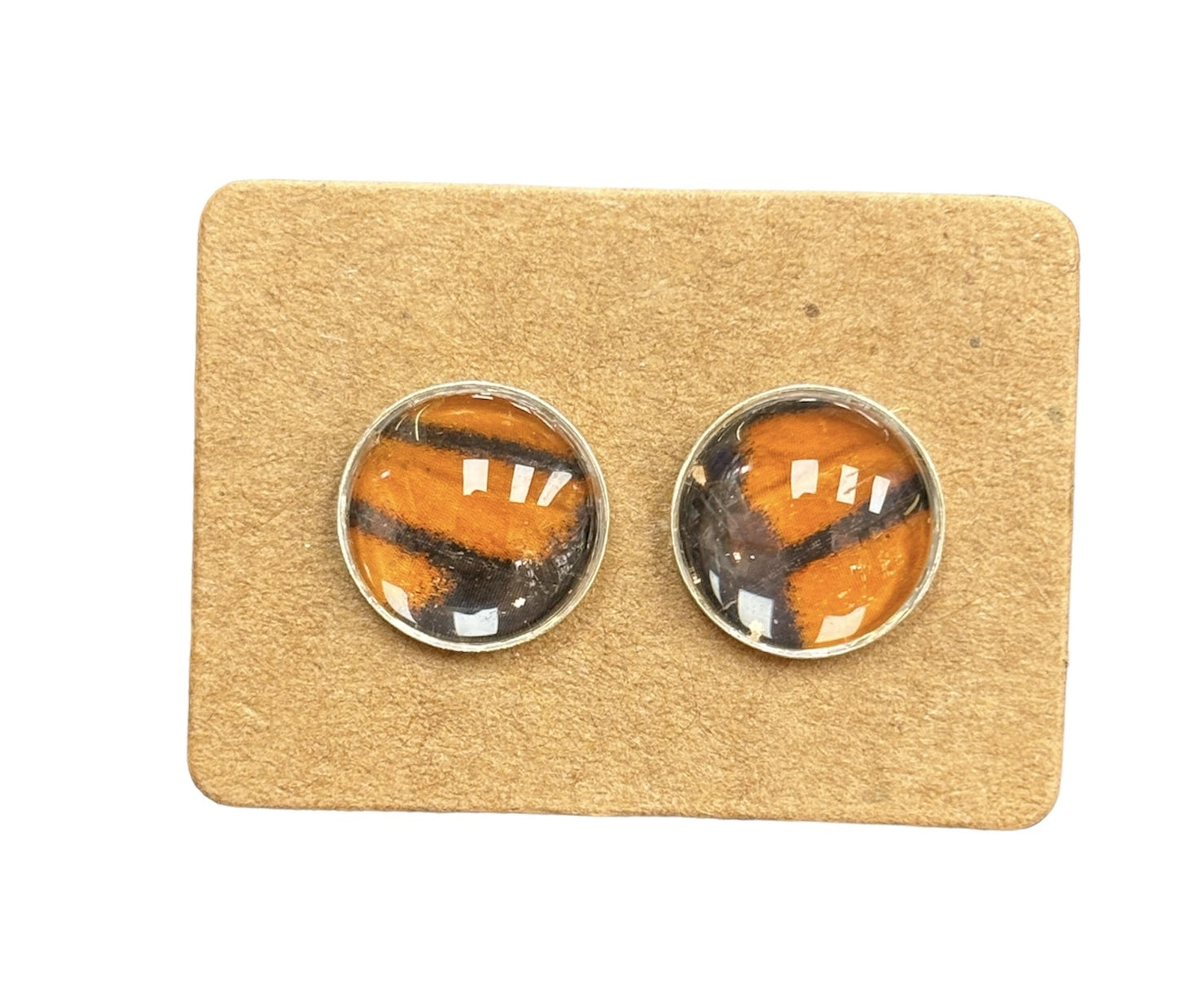 Real Butterfly Wing Earrings - Danaus Butterfly