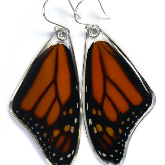 Danaus Plexippus Stirling Silver Earrings