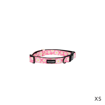 Pink Daisies Collar - Xs